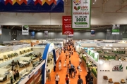 Comprehensive Vietbuild Exhibition Booth Construction Process