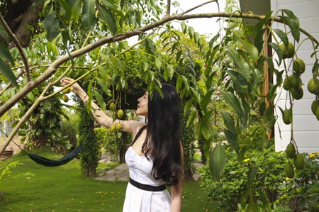 Ghen tị với nhà vườn bạc tỷ của Ngô Mai Trang 1