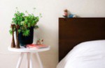 Lưu ý phong thủy khi đặt cây xanh trong phòng ngủ